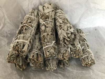 White Sage-Small image 0
