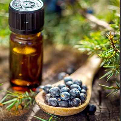 Spray Deodorant-Cedarwood & Juniper Berry 2 oz image 0