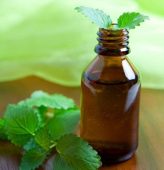Peppermint Charcoal  Toothpaste image 1